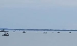 Oplus_16908288