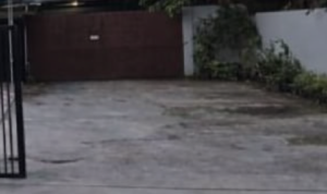 1000869079