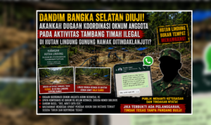 1000913711-300x178.png