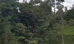Oplus_16908288